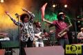 Doreen Shaffer (Jam) and The Skatalites 20. Reggae Jam Festival - Bersenbrueck 01. August 2014 (15).JPG